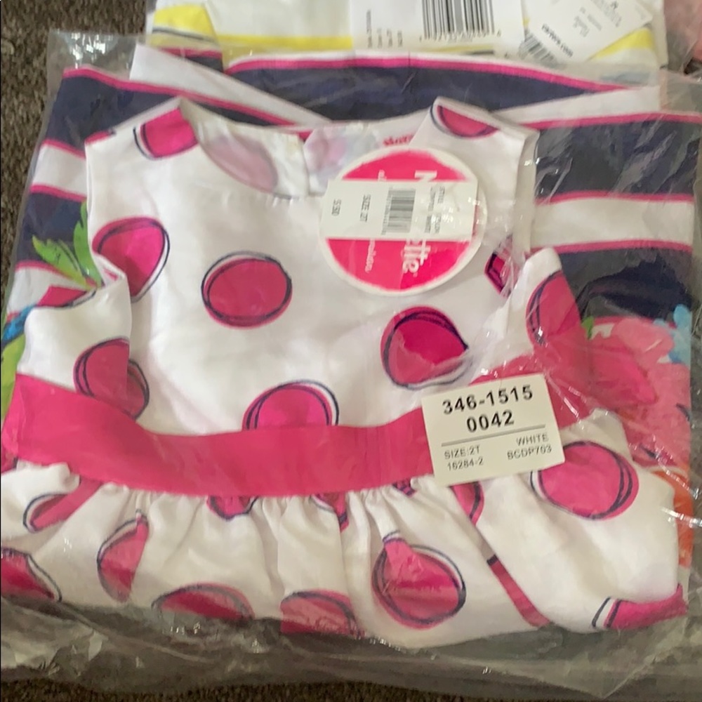 Floral Spot Dress 2T